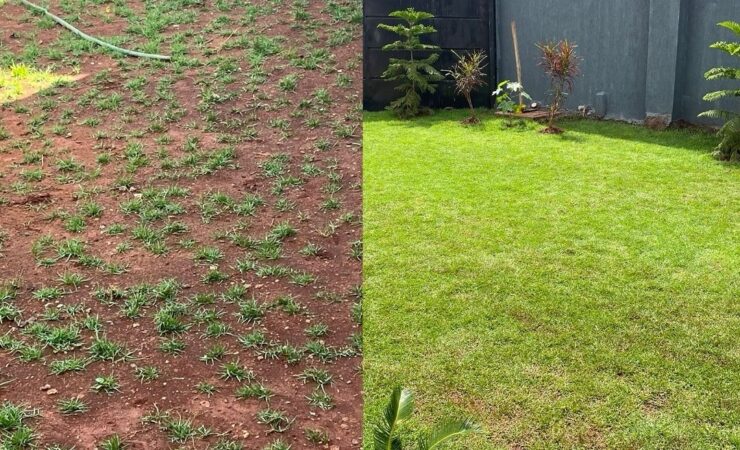 Landcaped compound at Kenyatta Road