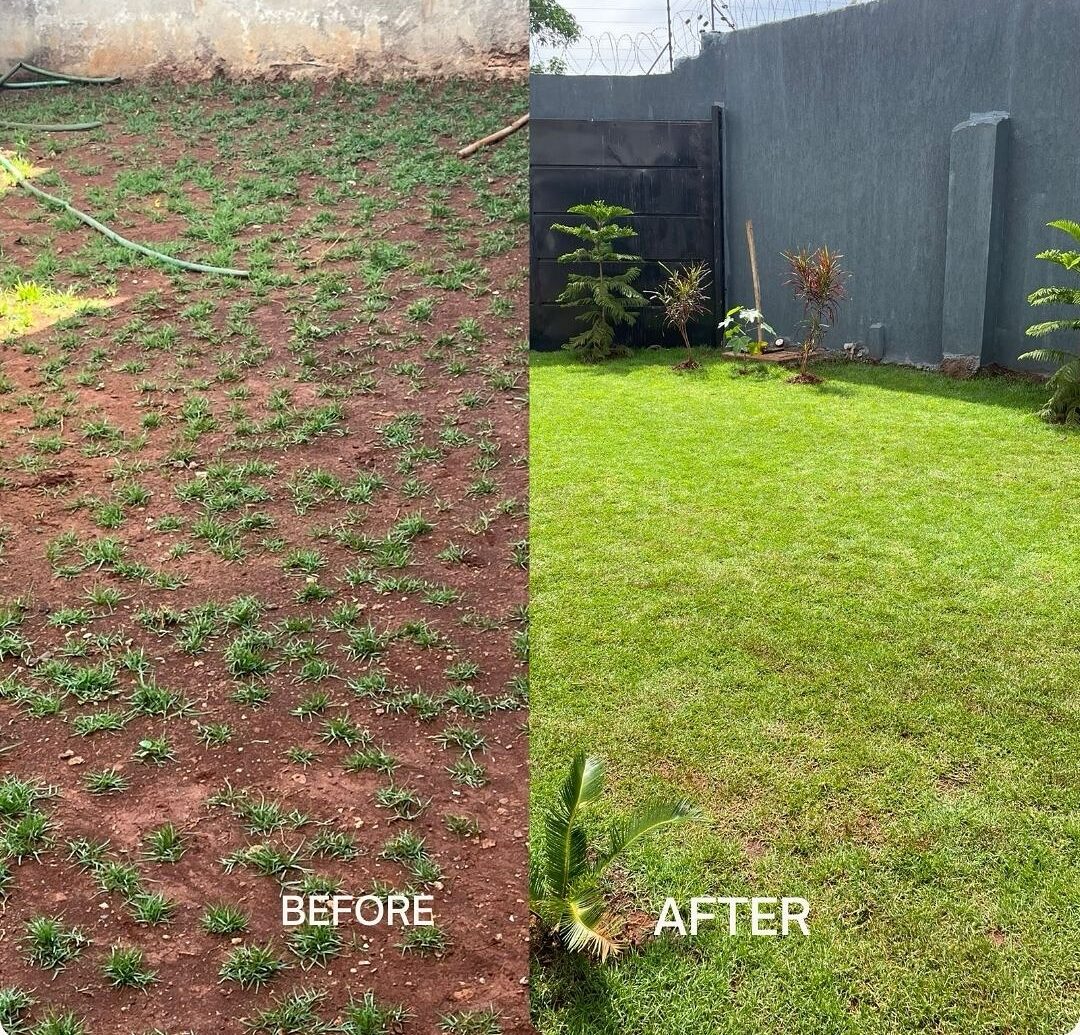 Landcaped compound at Kenyatta Road