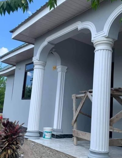 Exterior home painting